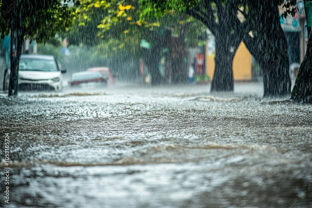 Water damage cleanup NC