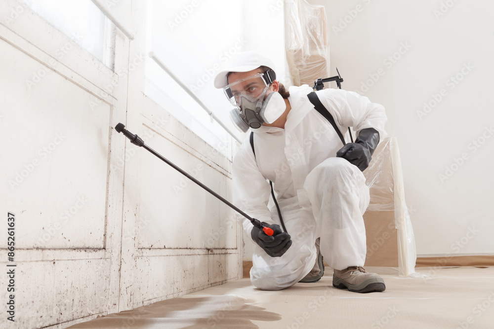 Mold remediation specialists